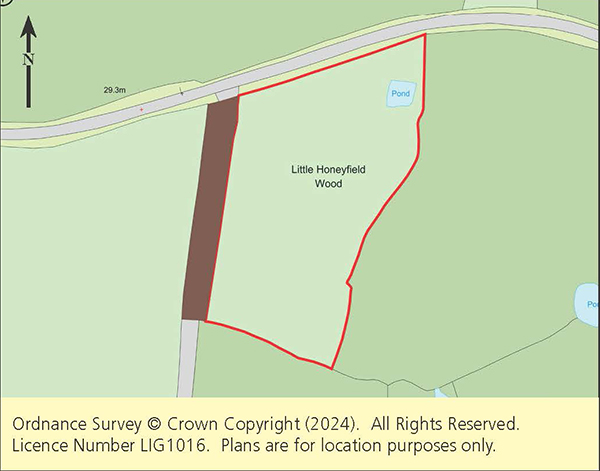 Lot: 136 - ALMOST THREE ACRES OF WOODLAND -